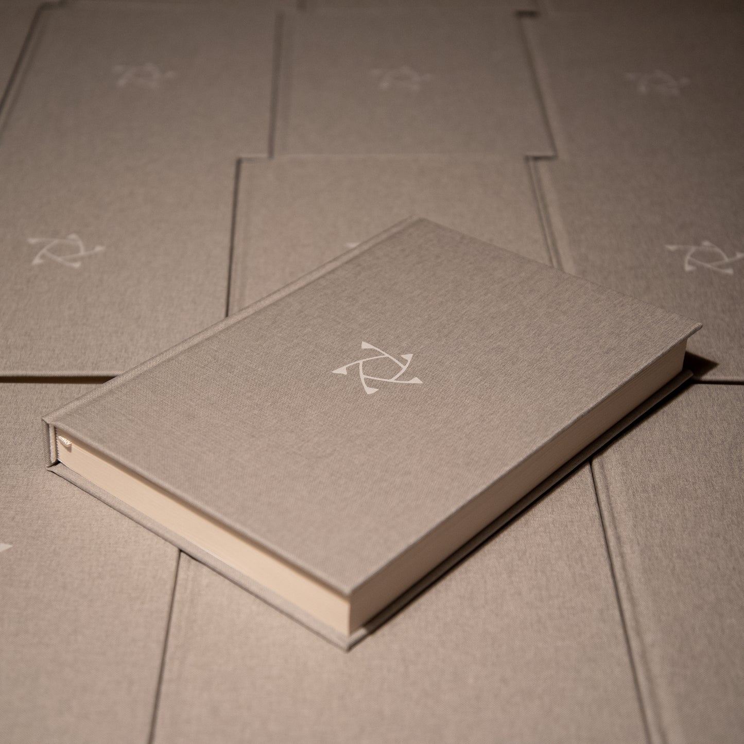 Shinka 66-päevane enesearengu päevik noortele | Loo distsipliini ja selgust