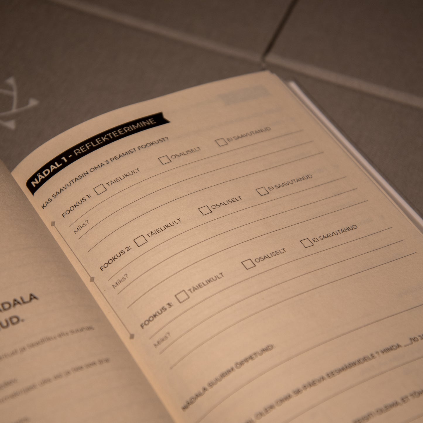 Shinka 66-päevane enesearengu päevik noortele | Loo distsipliini ja selgust